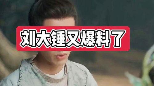 刘大锤最新爆料男团,男团新动态，神秘爆料引热议